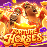 FORTUNE HORSES