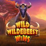 Wild Wildebeest Wins